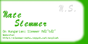 mate slemmer business card